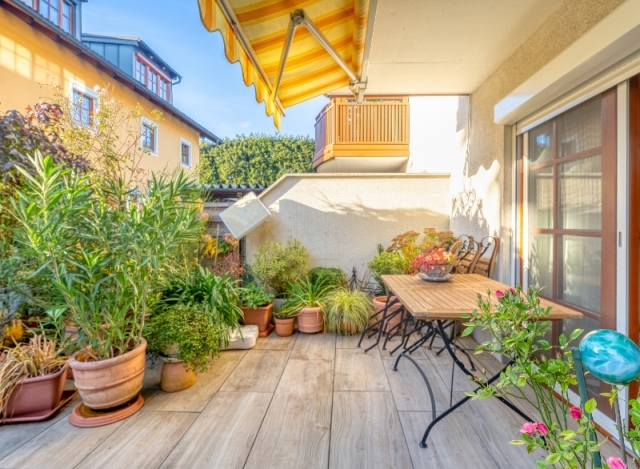 Rosmarin & Rittersporn